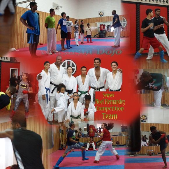 musashidojo1